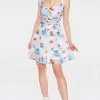 Jawbreaker Cherub Cat Print Chiffon Skater Dress